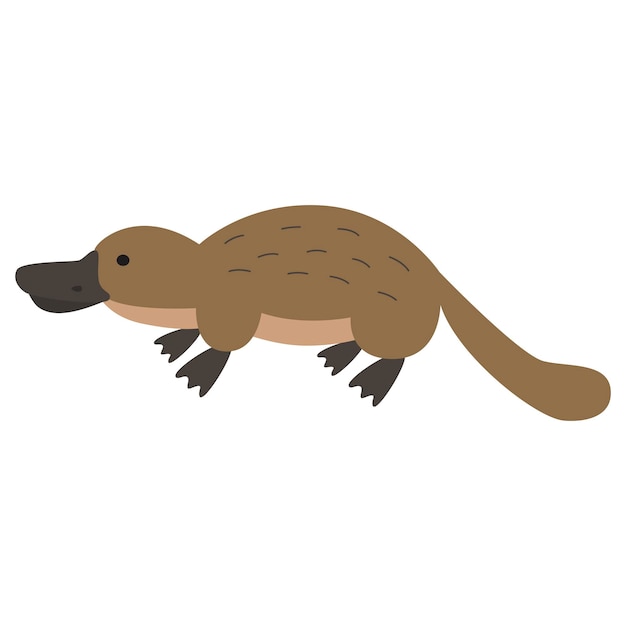 Cartoon platypus