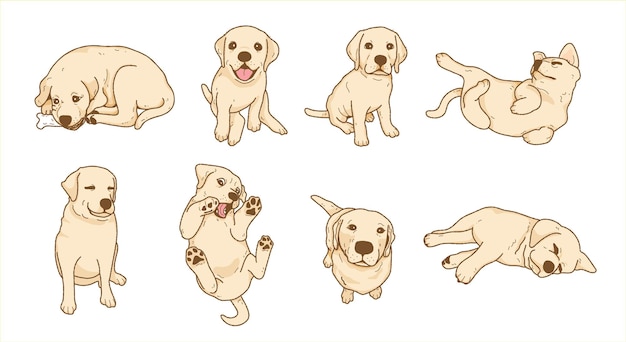 Vector cartoon playful labrador retriever dog puppy illustration collection