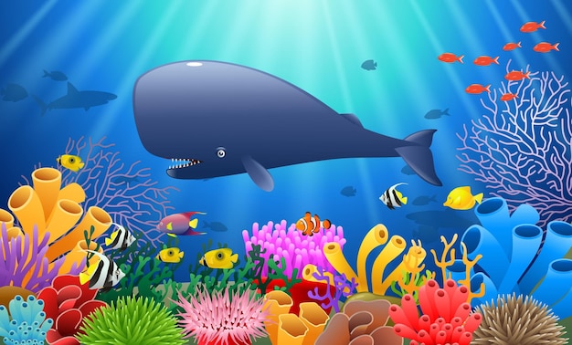 Cartoon pokkelwalvis zwemmen in de zee Vector illustratie