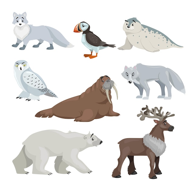 Вектор Мультяшные полярные и арктические животные. снежная лиса, тюлень, тупик, морж, волк, белый медведь и северный олень. коллекция образовательных векторных иллюстраций.