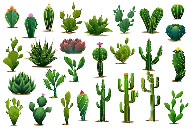 Cartoon prickly succulent cactus plants flowers