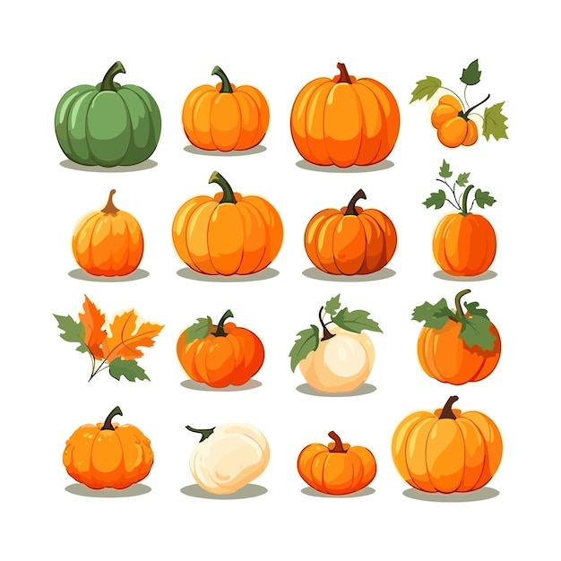 Vector cartoon pumpkin flat collection white clean background