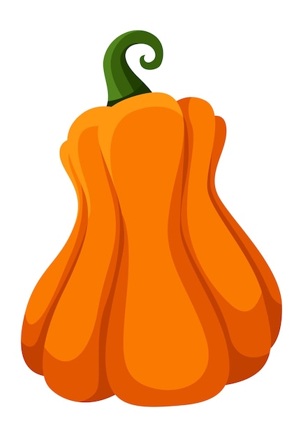 Cartoon pumpkin. Holiday pumpkins squash clipart harvest isolated on white background