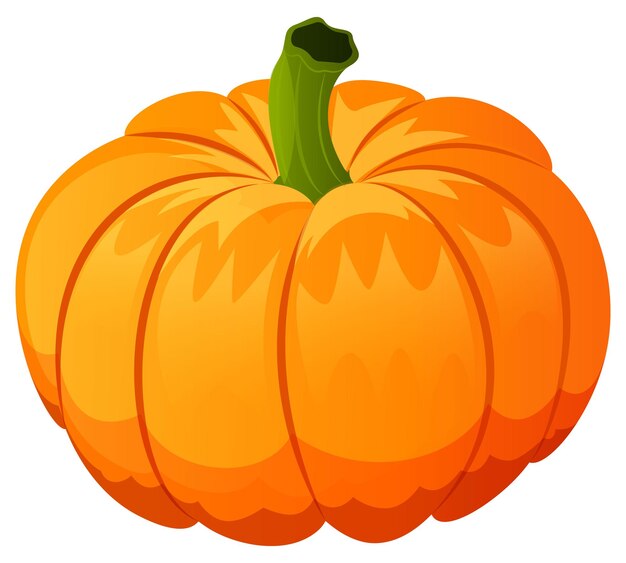 Vector cartoon pumpkin illustration
