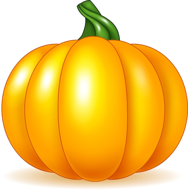 Cartoon pumpkin isolated on white background