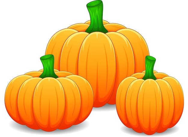 Vector cartoon pumpkin isolated on white background