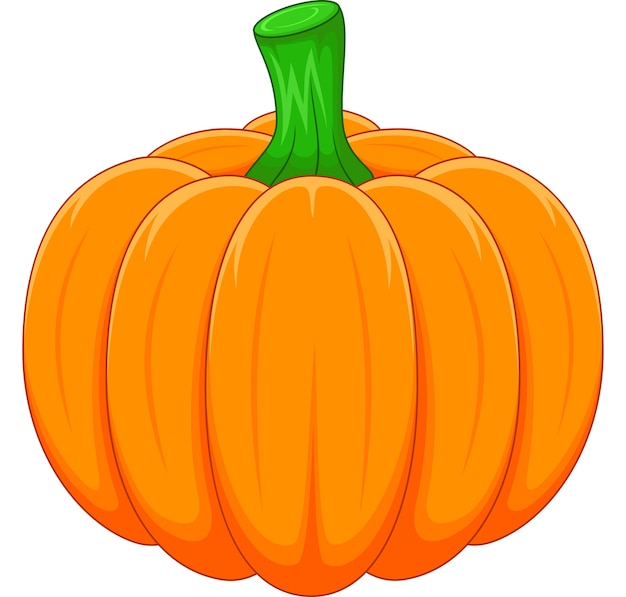 Vector cartoon pumpkin on white background