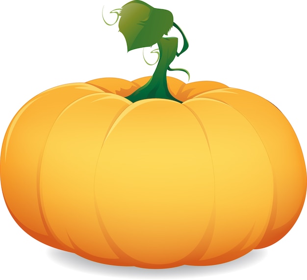 Vector cartoon pumpkin