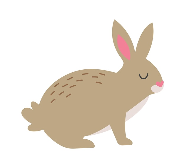 Cartoon rabbit Animal Vector illustration