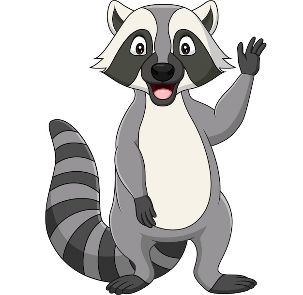 Cartoon raccoon waving on white