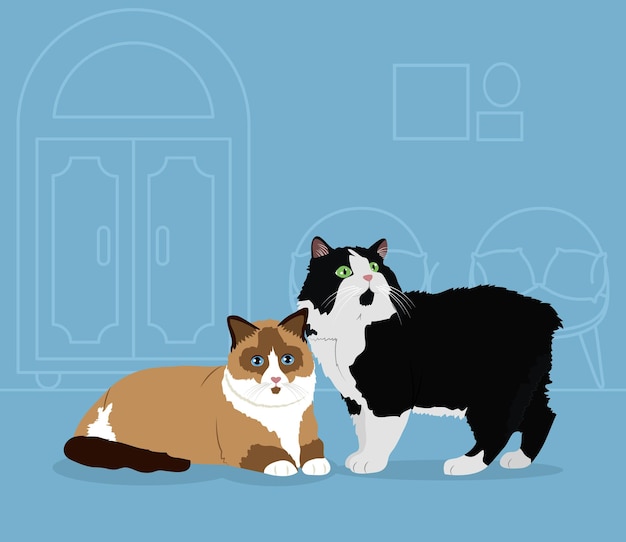 Vector cartoon ragdoll cat and black and white cat