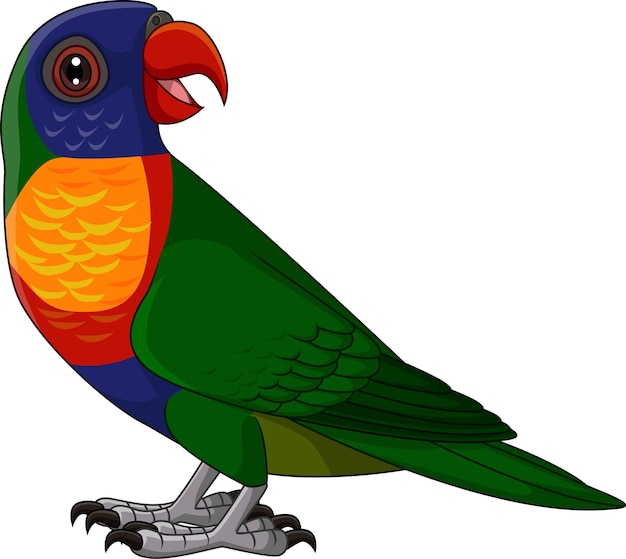 Vector cartoon rainbow lorikeet on white background