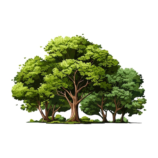Cartone animato albero realistico isolato su sfondo bianco foresta di piante verdi carine
