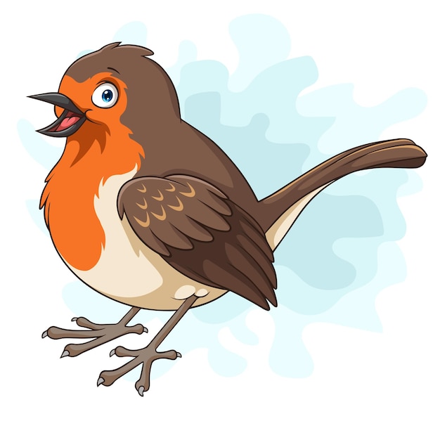 Vector cartoon robin bird on white background