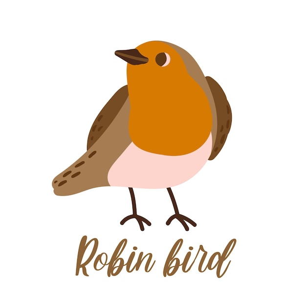 Vector cartoon robin vogel leuke winter vogel vector illustratie voor prints kleding verpakking stickers