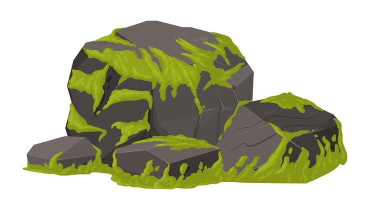 Vector cartoon rock with moss jungle moss plants grows on grey rock green creeping moss on granite stone flat vector illustration swamp moss growing on rock