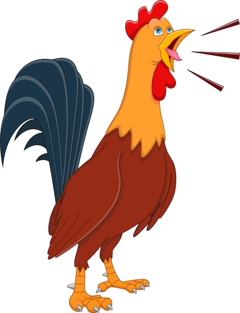 cartoon rooster crowing on white background