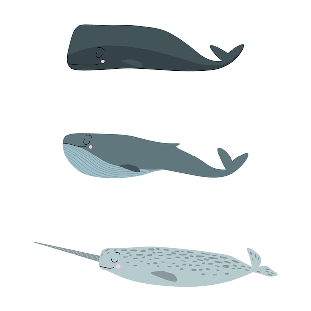 Vector cartoon sea animals