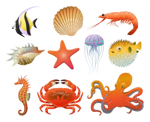 Cartoon Sea Fauna Elements Set