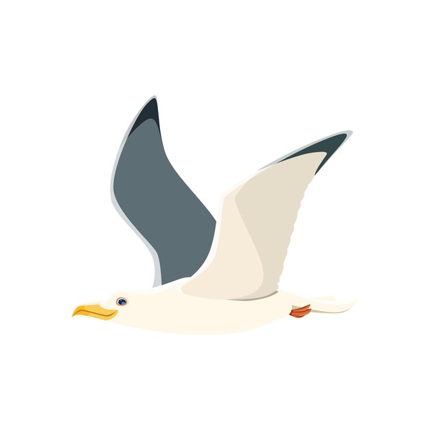 Vector cartoon seagull vector graceful and agile bird