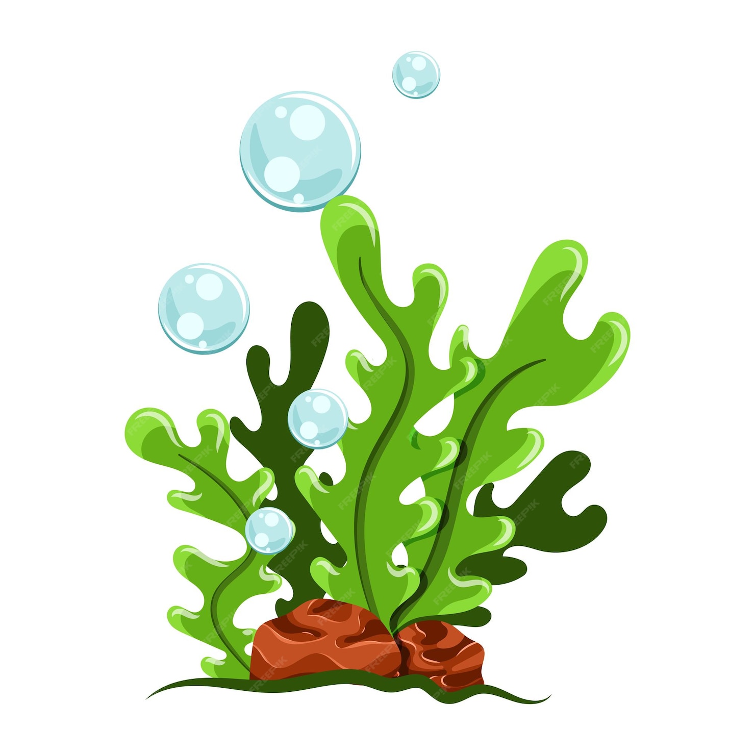 Premium Vector | Cartoon seaweed illustration isolated on white background