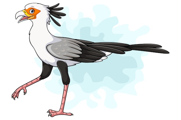 Vector cartoon secretary bird on white background