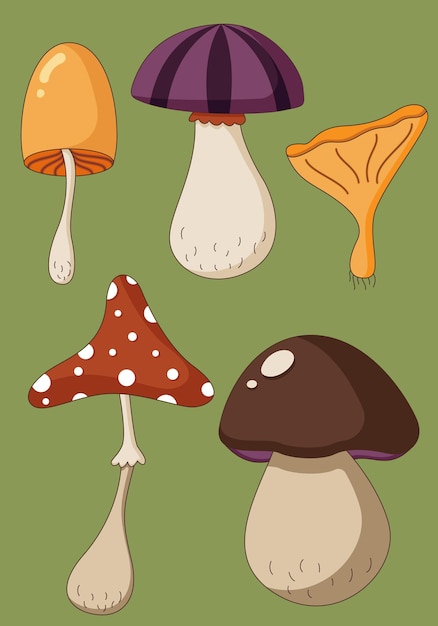 Cartoon set di funghi colorati avvelenati e cibo vegetariano sano