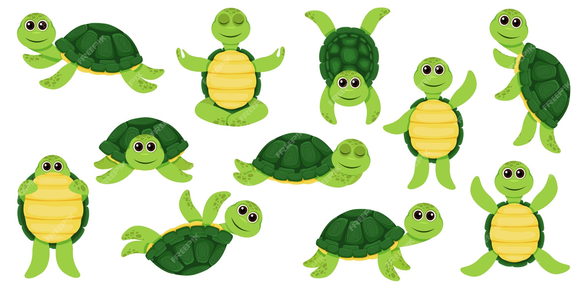 russian tortoise clipart