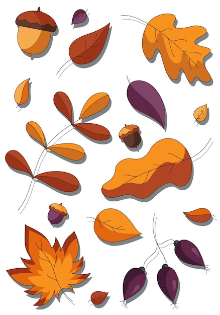 Cartoon set of fallen autumn botanical forest plants various type of coloured leaves and acorns