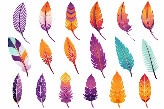 Vector cartoon set of feathers white background