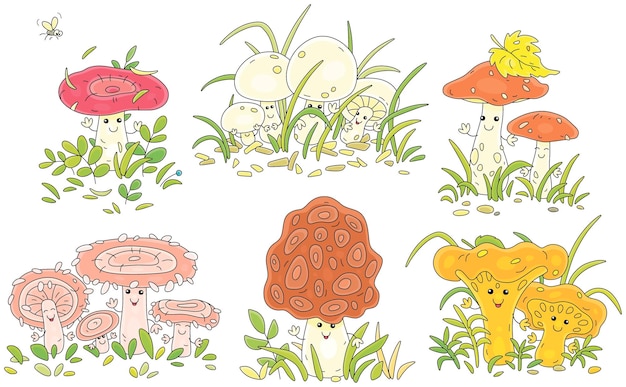 Cartoon set of forest mushrooms funny kawaii characters