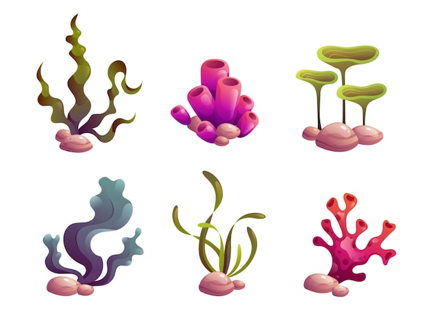 Cartoon set of sea plants and corals