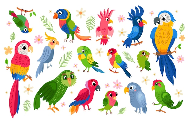 Cartoon set of vector tropical parrots characters