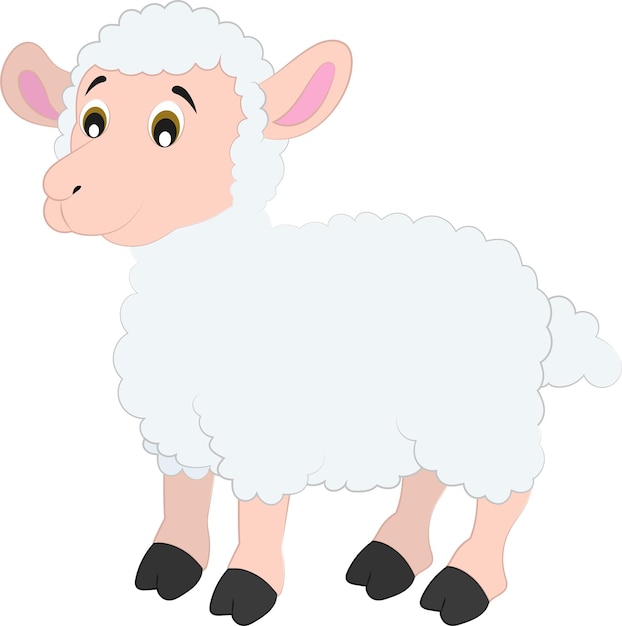 Vector cartoon sheep isolated on white background