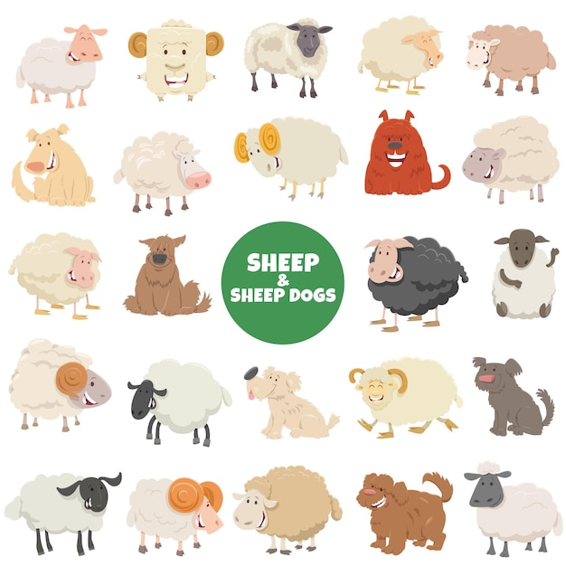 Grande set di personaggi dei cartoni animati di pecore e cani da pastore