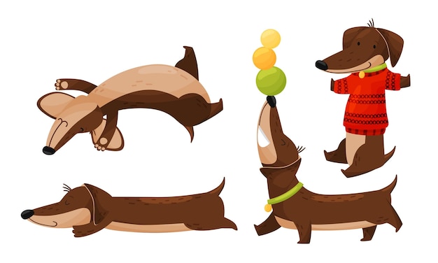 Vector cartoon shortlegged dachshund character with long body sleeping and juggling with balls vector set