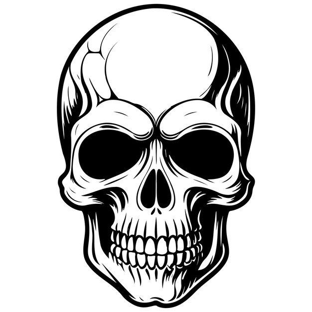Vector cartoon skull of hand drawn line illustration transparent background
