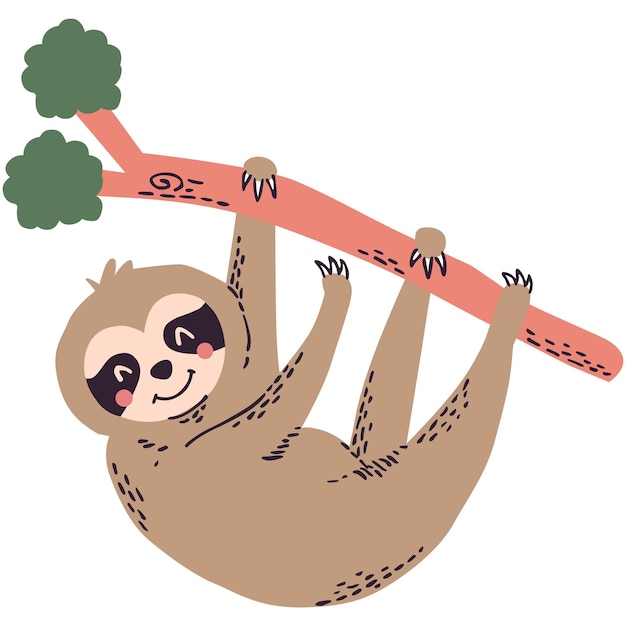 Vector a cartoon sloth hanging on a branch with the word sloth on it.