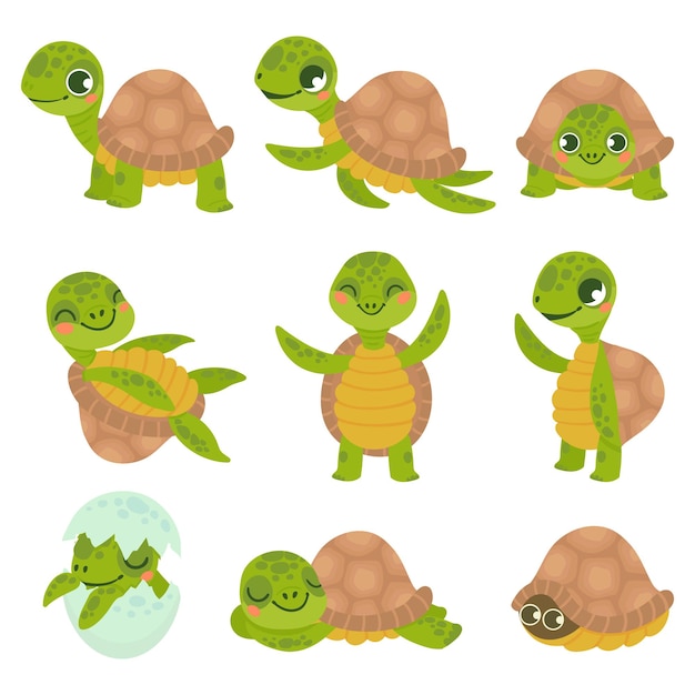 Vettore tartaruga sorridente del fumetto. insieme di vettore di animali divertenti tartarughe, camminare e nuotare tartaruga. collezione di simpatici rettili acquatici e terrestri amichevoli. adorabili rettili terrestri e marini.