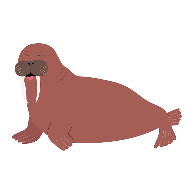 Cartoon smiling walrus isolated on white background