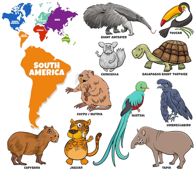 Vector cartoon south american animal characters set and continents shapes