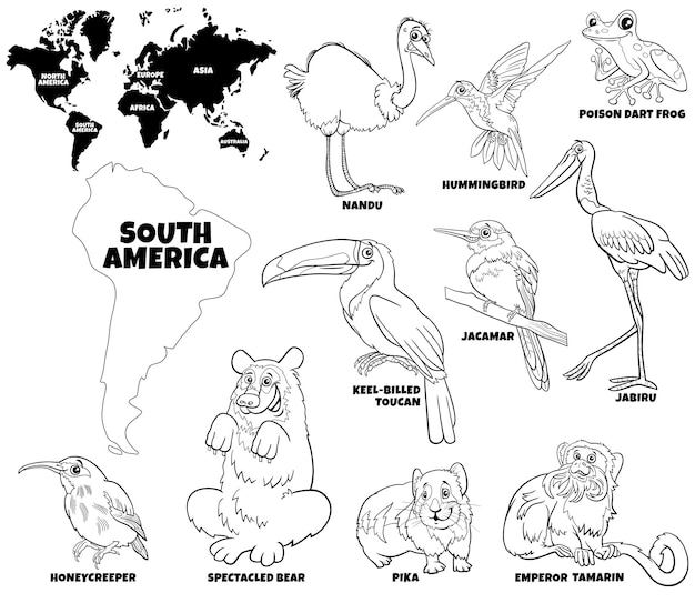 Cartoon South American animal species set coloring page