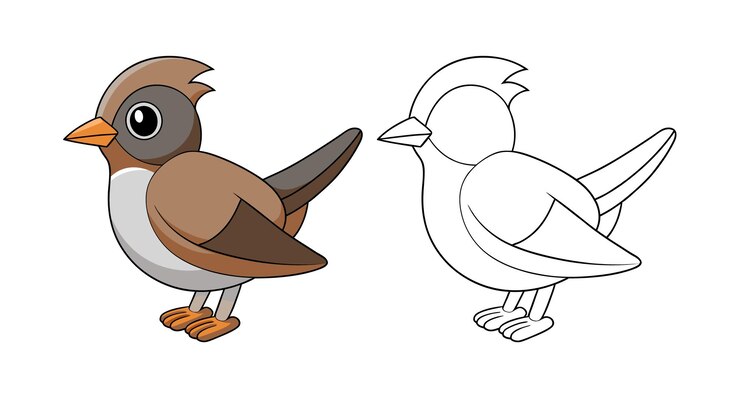 Vector cartoon sparrow bird illustration