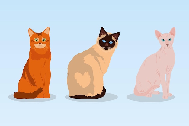 Vector cartoon sphynx cat and cats