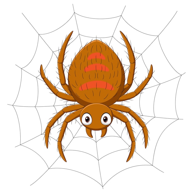 Vector cartoon spider on the cobweb