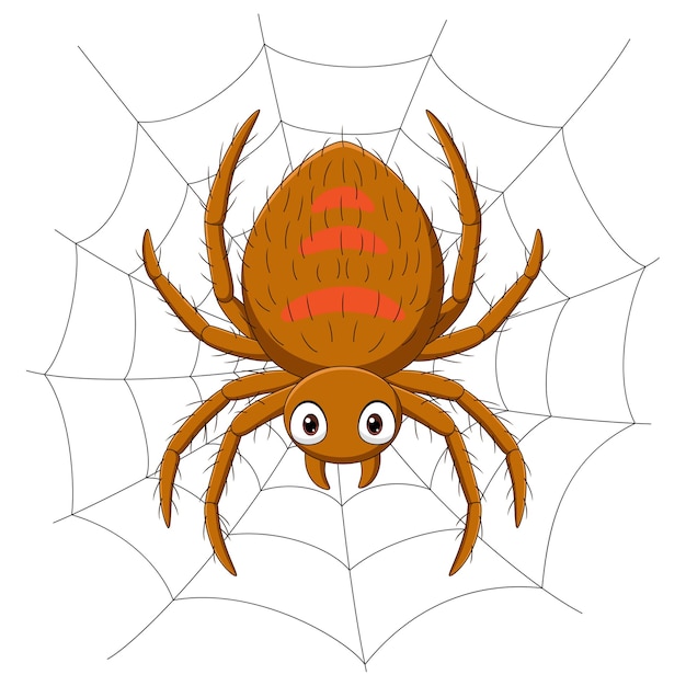 Cartoon spider on the cobweb