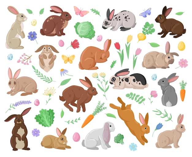 Cartoon spring bunnies Cute rabbits easter eggs and vegetables funny haring animals with flowers and leaves flat vector illustration set Wildlife eared bunny collection