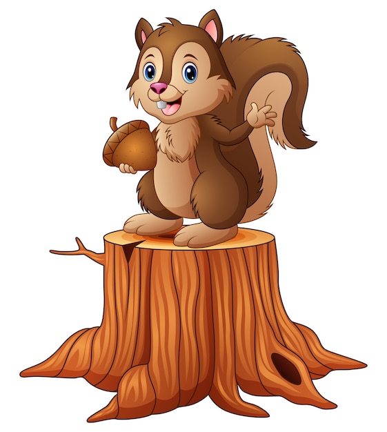 Cartoon squirrel standing on tree stump holding an acorn