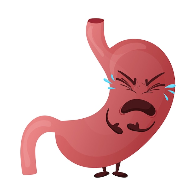 Cartoon srying stomac character Concept diseased internal organ suffering from pain Vector illustration