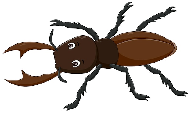 Cartoon stag beetle Vector illustration